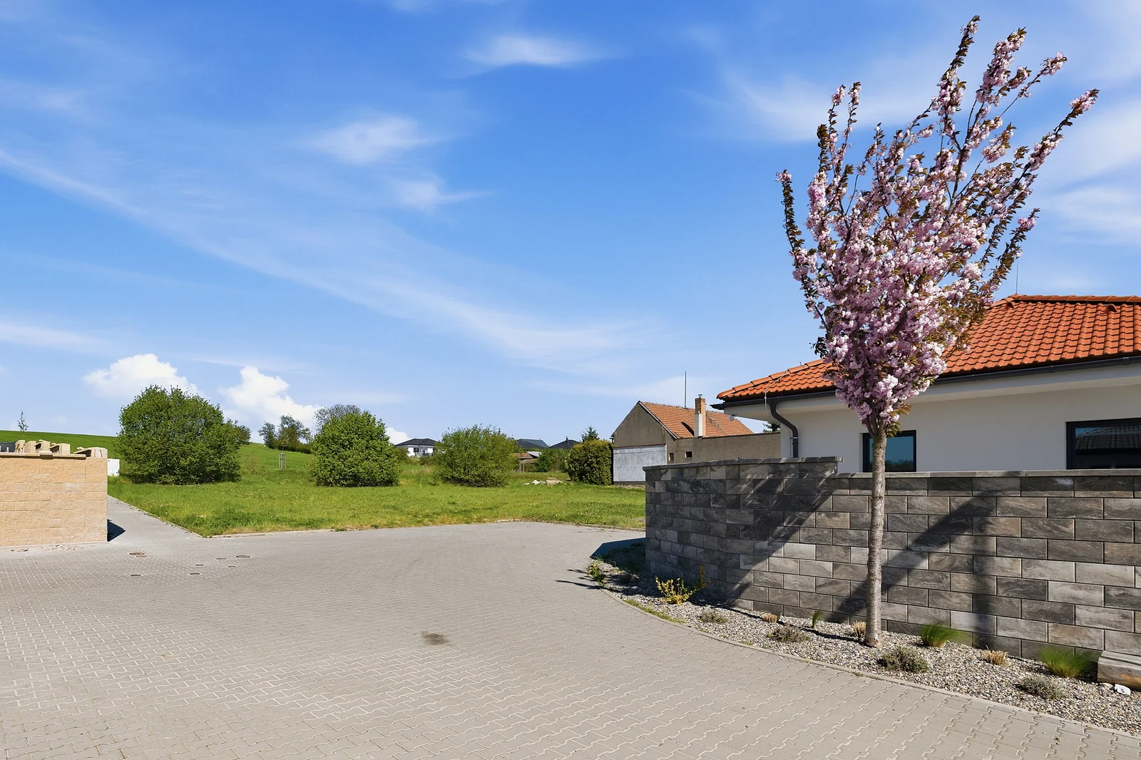 Kvetoucí třešeň u dlážděného vjezdu